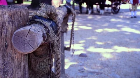 Colonial Hitching Post Stock Footage 71691916