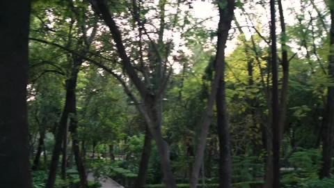 Colonial small town - Parque Juarez - San Miguel de Allende Stock Footage 191291540