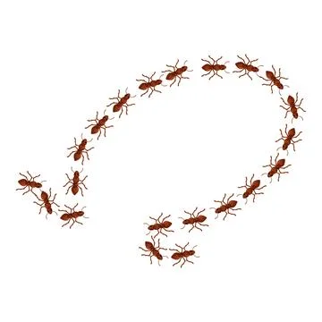 Colony of ants forming a question mark shape Stock Illustration