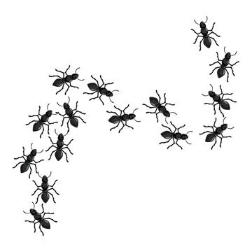 Colony of ants marching in trail formation Stock Illustration