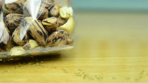 Colony of ants swarming nuts in plastic bag on table Video stock 38640333