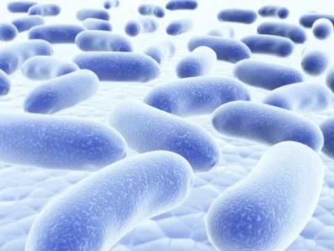 Colony of bacteria Stock Illustration
