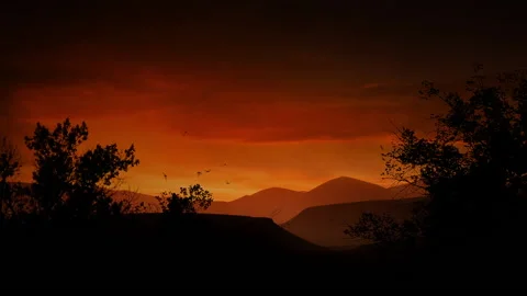 Colony of Bats Take Flight at Sunset with Mountain Ranges Stock Footage 133406676
