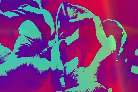 Color abstraction, design, creative composition Stock Photos