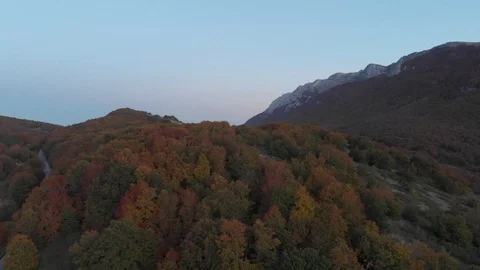 The color of autumn Stock Footage 119004411
