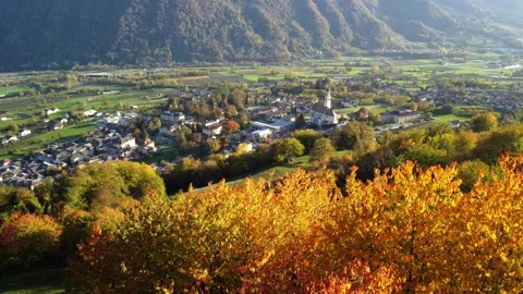 Color of autumn Stock Footage 245831466