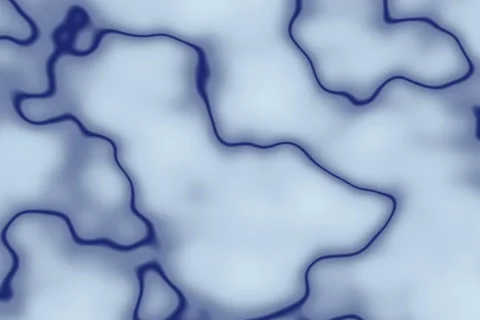 Color background Stock Footage 976336