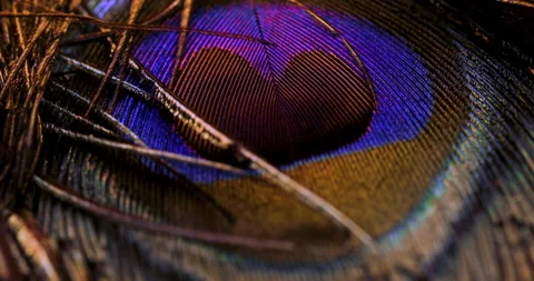 Color background. Stock Footage 277678986