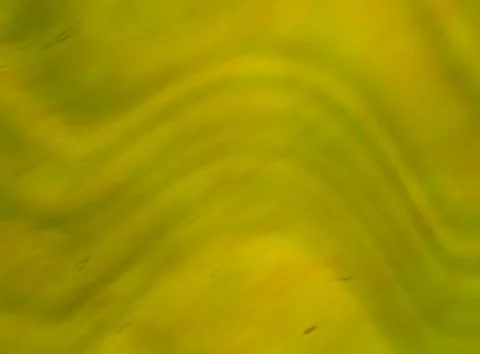 Color background Stock Illustration