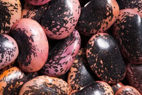 Color beans background Foto stock