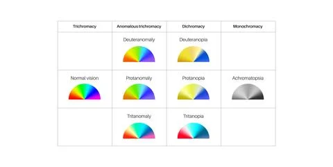 Color blindness poster Stock Illustration