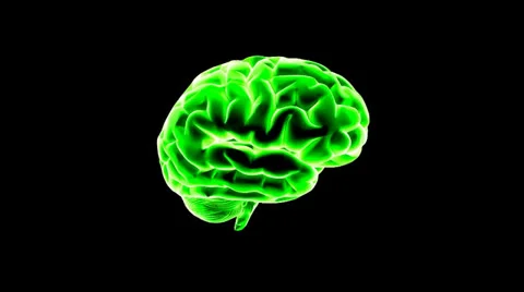 Color brain Stock Footage 25059026