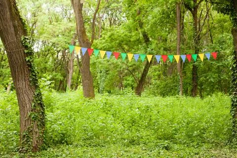 Color bunting flags Color triangular flags with white dots on the nature b... Stock Photos