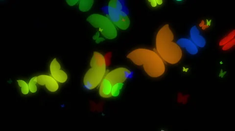 Color Butterflies Stock-Footage 5502122