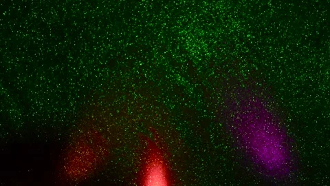 On a color-changing, flashing fine-grained background, multi-colored flashing Stock Footage 245152906