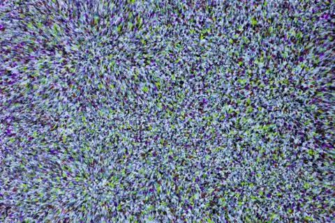 Color Chips Texture Stock Photos