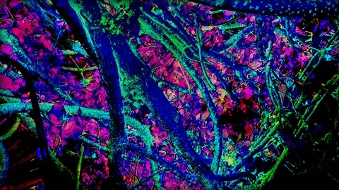 Color Code Video stock 277861139