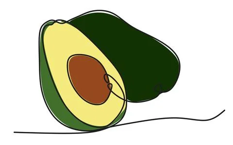Color continuous line avocado.  Stock Illustration