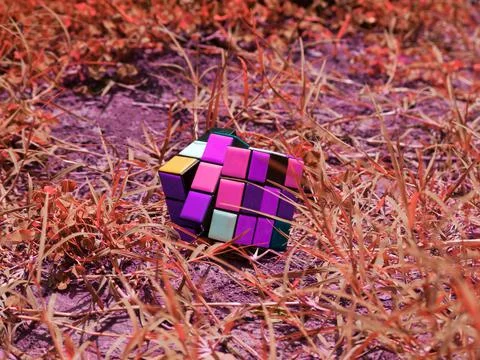 Color cube image around reddish grass field, kids toy isolated on ground 스톡 사진