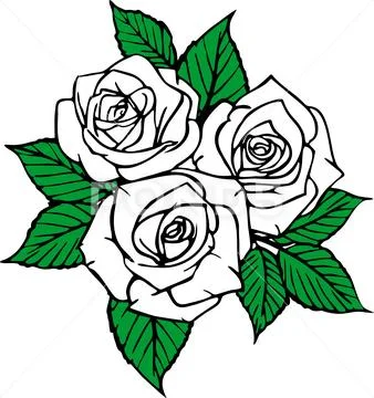 Bouquet of roses with message card. Hand drawing outline flowers as gift  with letter. Download a Free Preview or H… | Roses drawing, Flower drawing, Flower  sketches