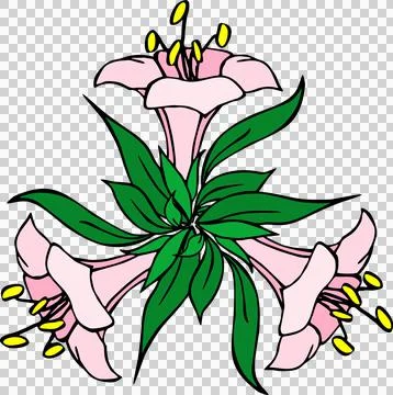 Color drawing composition of three pink large flowers Illustrazione stock