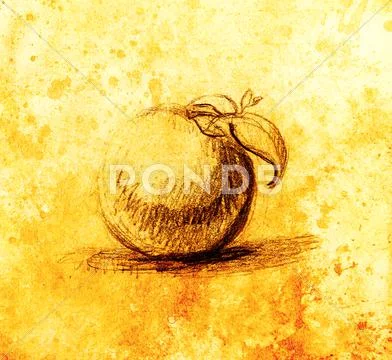 Continuous line drawing with yellow color spot. Cheese background vector  illustration 15616806 Vector Art at Vecteezy