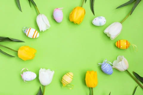 Color easter eggs and White yellow tulips on a green background. Stock-Fotos