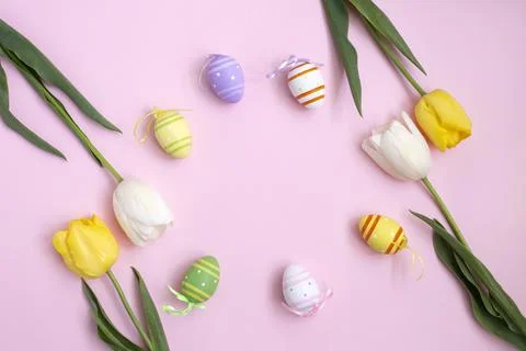 Color easter eggs and White yellow tulips on a pink background. Stock Photos