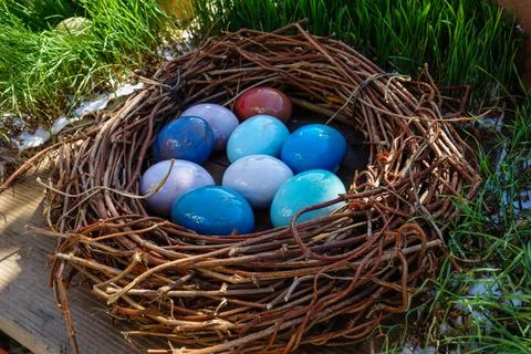 Color easter eggs in basket isolated on white Stock Photos