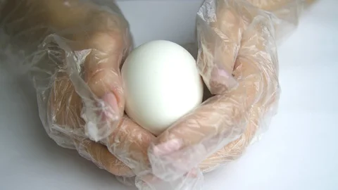 Color the eggs in blue Stock Footage 88261229