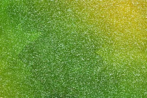 Color-enhanced microscope-style image of a porous biological texture Stock Photos