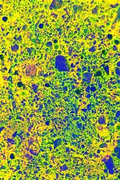 Color-enhanced microscope-style image of a porous biological texture in vibrant Stock Photos