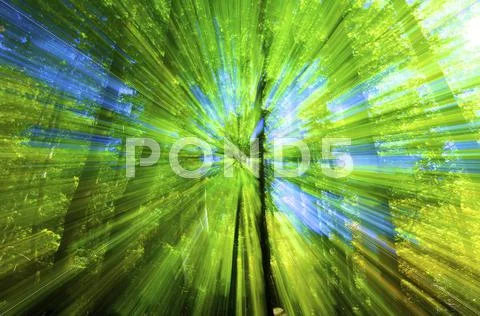 Color explosion Stock Photos