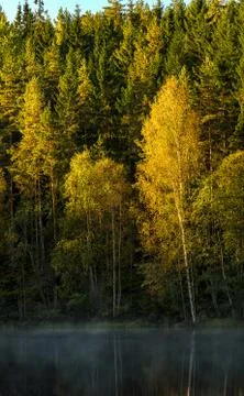The color of fall Stock Photos