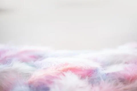 Color feather texture background Photos