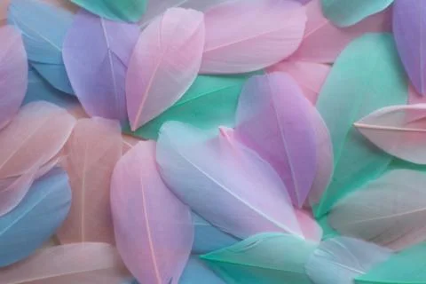 Color feather texture background Foto stock