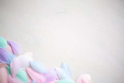 Color feather texture background Stock Photos