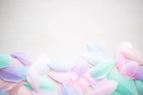 Color feather texture background Stock Photos