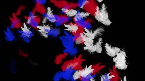 Color feathers animation Vidéo 40515117