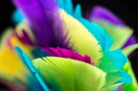 Color feathers background Stock Photos