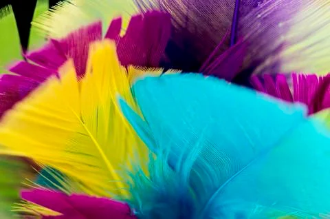 Color feathers background Stock Photos