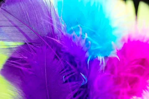 Color feathers background Stock Photos