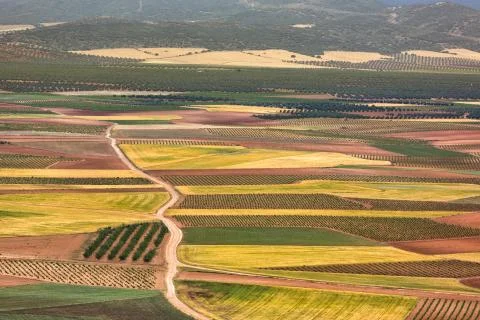 Color fields in Castile-La Mancha, Spain 스톡 사진