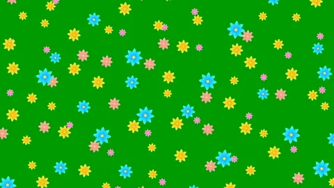 Color flower fall green Stock Footage 204857604