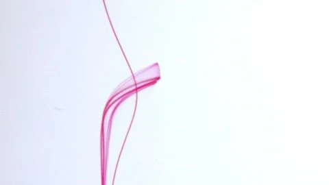 Color fluid movement Stock-Footage 142683018