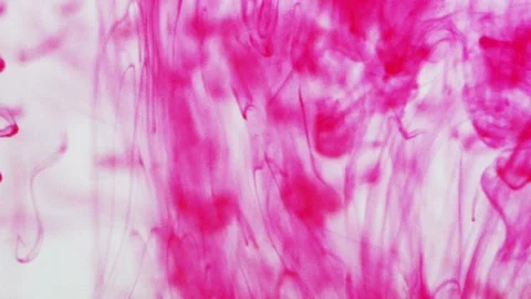Color fluid movement Stock-Footage 142704176