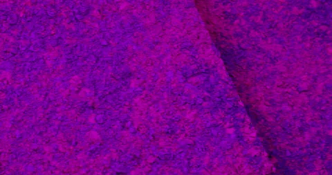 Color. Video stock 237355676