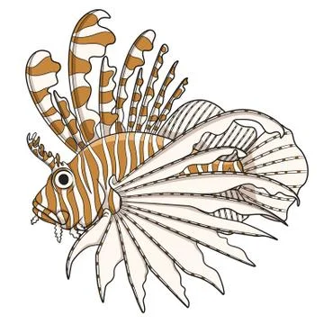 Color illustration lionfish. Vector objects on a white. Stock Illustration