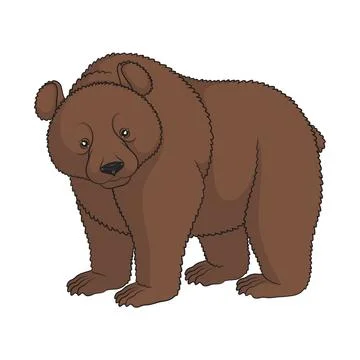 Color image of a brown bear. Isolated object. Stock Illustration