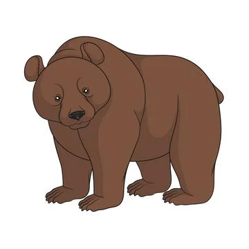 Color image of a brown bear. Isolated object. Stock Illustration